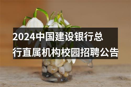 2024中国建设银行总行直属机构校园招聘公告 图片