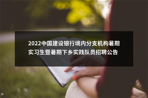 2022中国建设银行境内分支机构暑期实习生暨暑期下乡实践队员招聘公告 图片