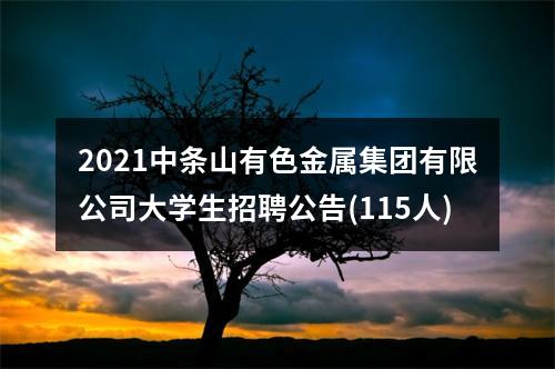 2021中条山有色金属集团有限公司大学生招聘公告(115人) 图片